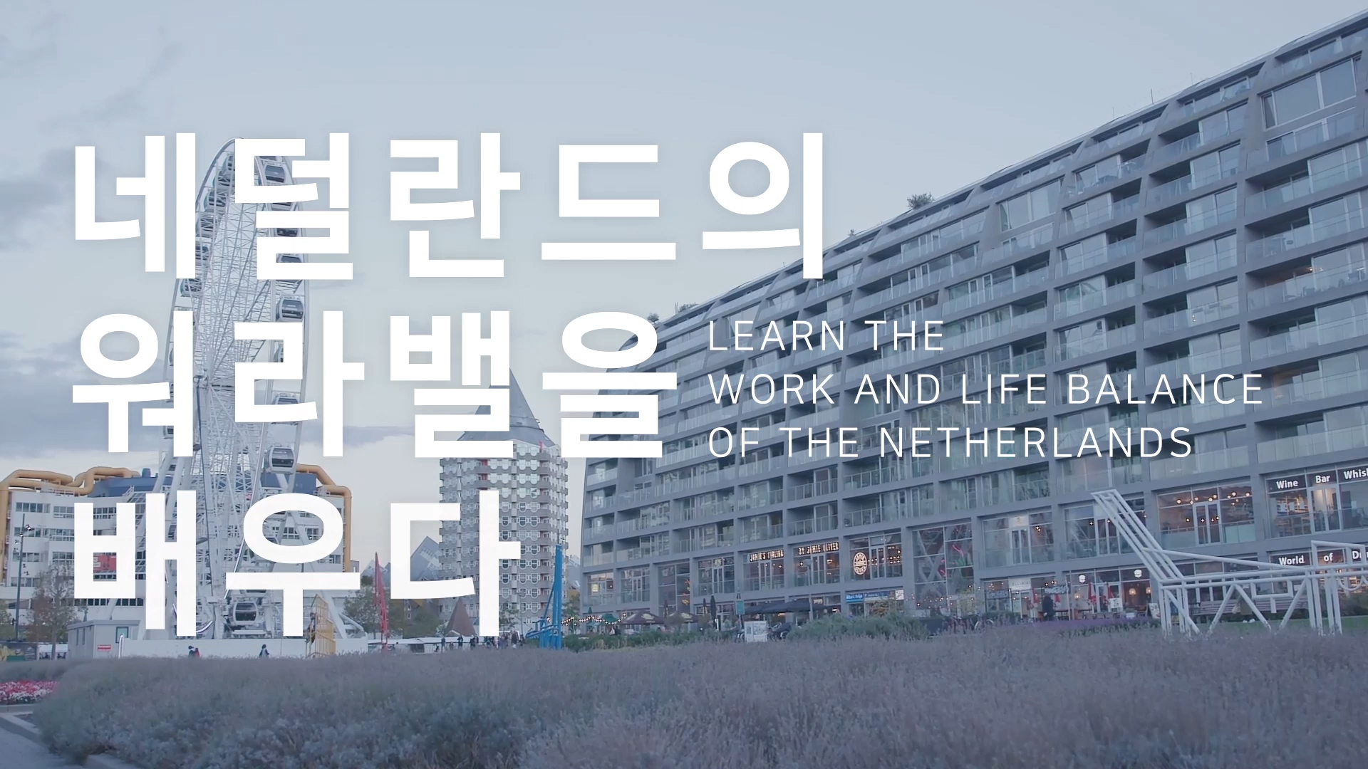 워라벨을 배우다 포트폴리오 썸네일